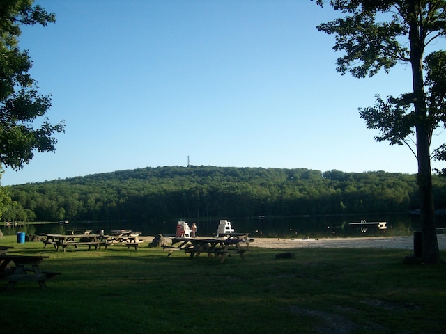 view of property's community with a lawn, a forest view, and a water view