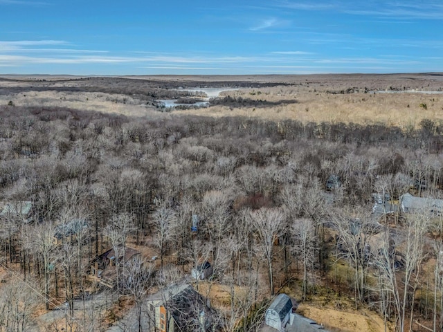 291 White Pine Dr, Pocono Lake, PA 18347 - bird's eye view