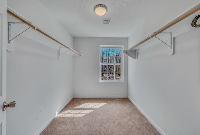 spacious closet with visible vents and carpet floors