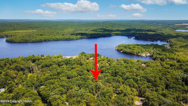 bird's eye view featuring a forest view and a water view