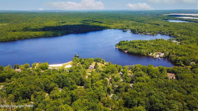 aerial view featuring a water view and a wooded view