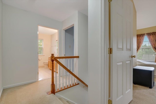 706 Franklin Ct, East Stroudsburg, PA 18302 - corridor with an upstairs landing, light colored carpet, and plenty of natural light