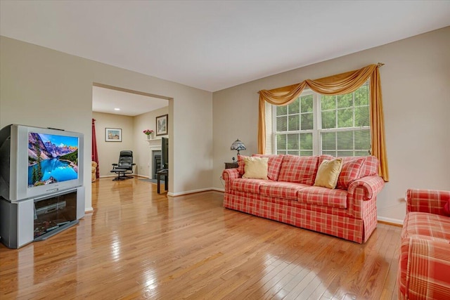 706 Franklin Ct, East Stroudsburg, PA 18302 - living room with light wood finished floors and a glass covered fireplace