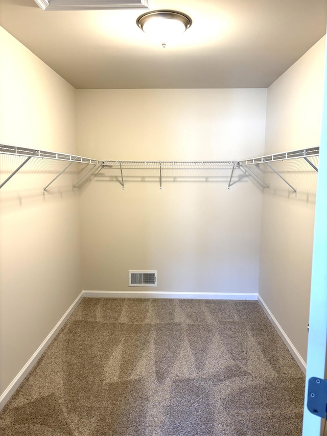 20 Leaf Ct, East Stroudsburg, PA 18302 - walk in closet with carpet flooring
