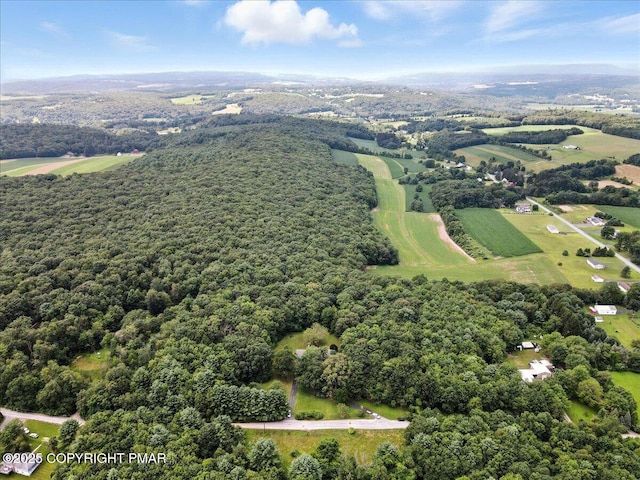 142 Pine Grove Rd, Kunkletown, PA 18058 - photo 77