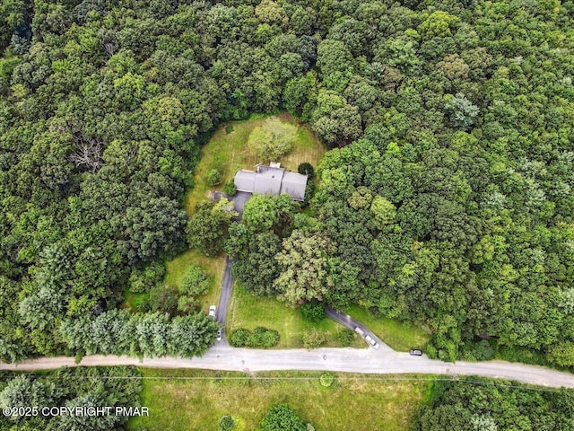 142 Pine Grove Rd, Kunkletown, PA 18058 - photo 73
