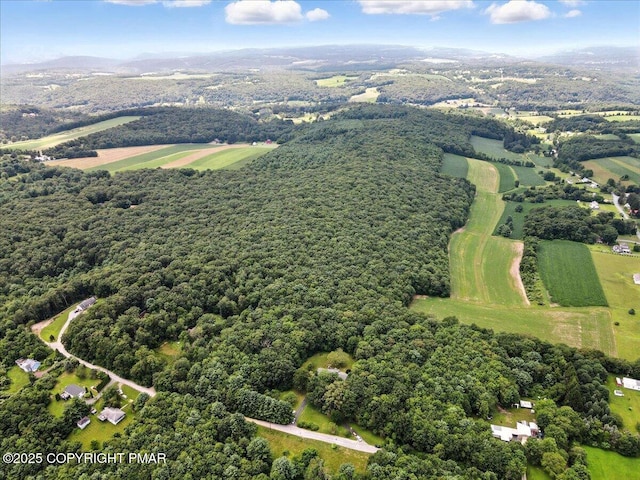 142 Pine Grove Rd, Kunkletown, PA 18058 - photo 76