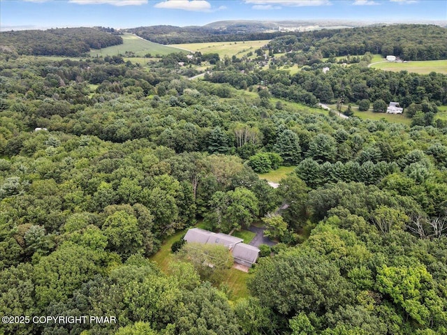 142 Pine Grove Rd, Kunkletown, PA 18058 - photo 74