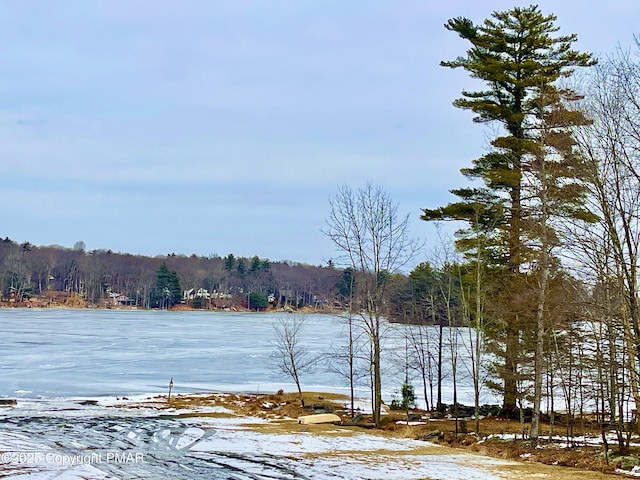 property view of water featuring a forest view