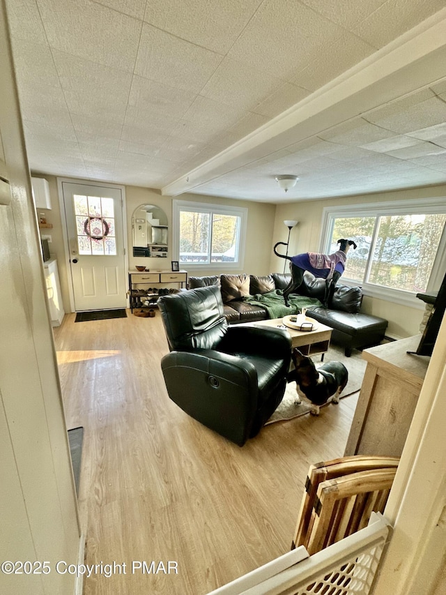 living area with wood finished floors