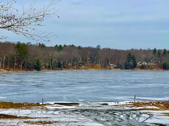 property view of water featuring a wooded view