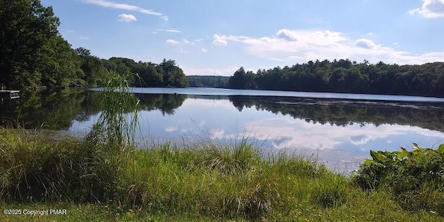 water view featuring a forest view