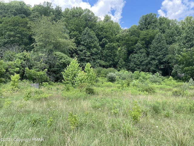 Listing photo 3 for LOT2 Foxtown Hill Rd, Stroudsburg PA 18360