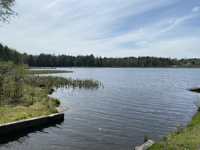 1020 W Wadi Rd W, Pocono Lake, PA 18347