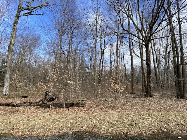 1020 W Wadi Rd W, Pocono Lake, PA 18347