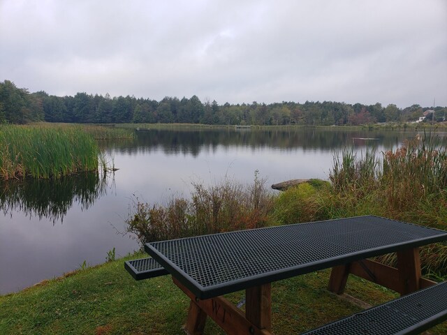 1020 W Wadi Rd W, Pocono Lake, PA 18347