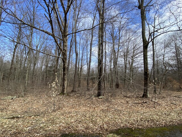 1020 W Wadi Rd W, Pocono Lake, PA 18347