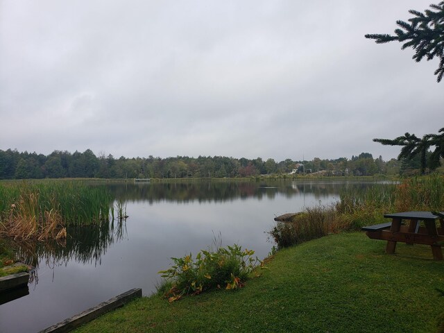 1020 W Wadi Rd W, Pocono Lake, PA 18347