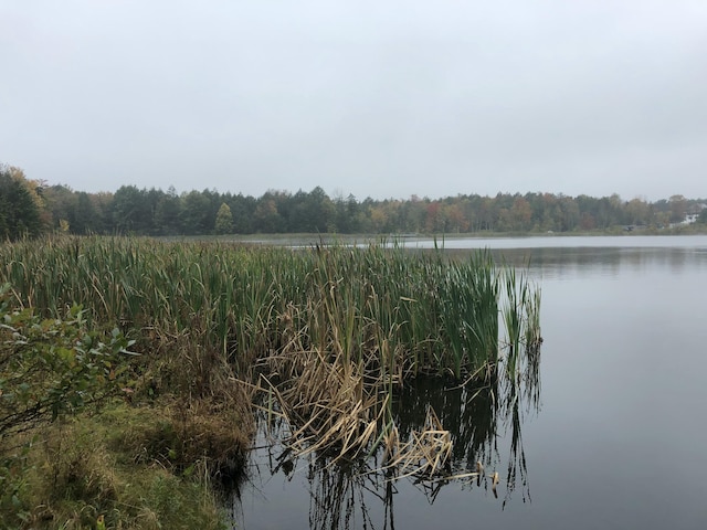 1020 W Wadi Rd W, Pocono Lake, PA 18347