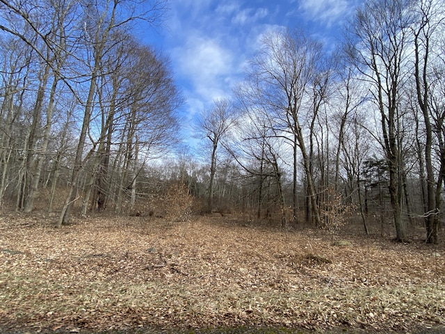 1020 W Wadi Rd W, Pocono Lake, PA 18347