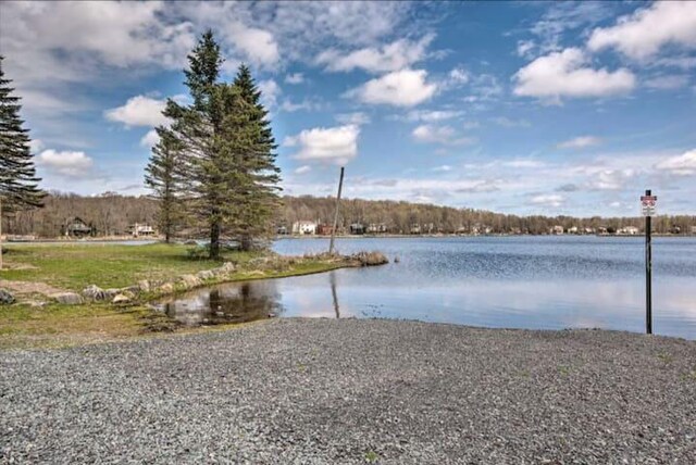 2929 Melody Ln, Tobyhanna, PA 18466 - photo 30