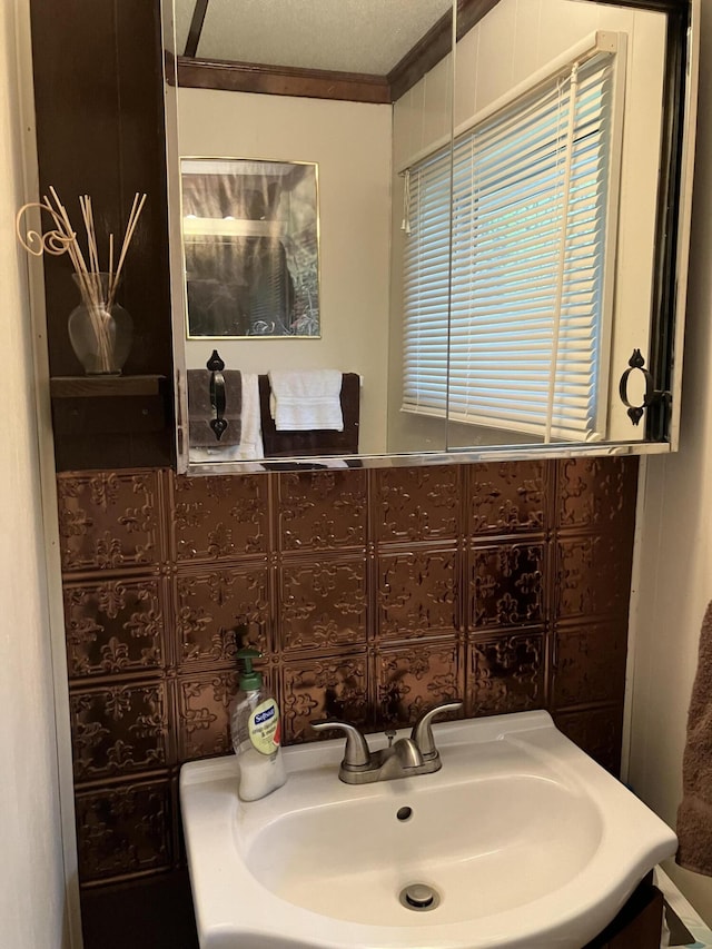 20 Horseshoe Dr, White Haven, PA 18661 - bathroom with a sink and ornamental molding