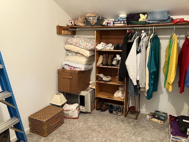 20 Horseshoe Dr, White Haven, PA 18661 - spacious closet featuring carpet floors