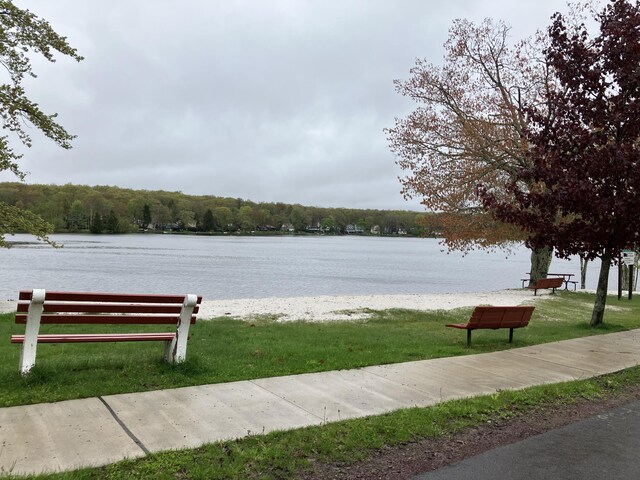 20 Horseshoe Dr, White Haven, PA 18661 - surrounding community with a water view and a lawn