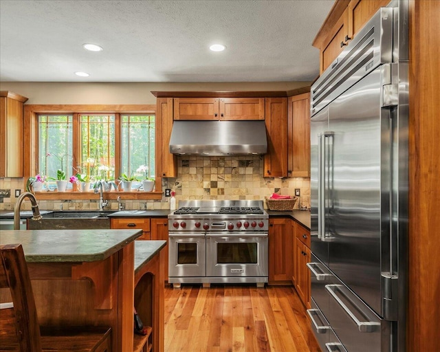44 Watawga Way W, Gouldsboro, PA 18424 - kitchen featuring premium appliances, under cabinet range hood, brown cabinetry, dark countertops, and light wood-type flooring
