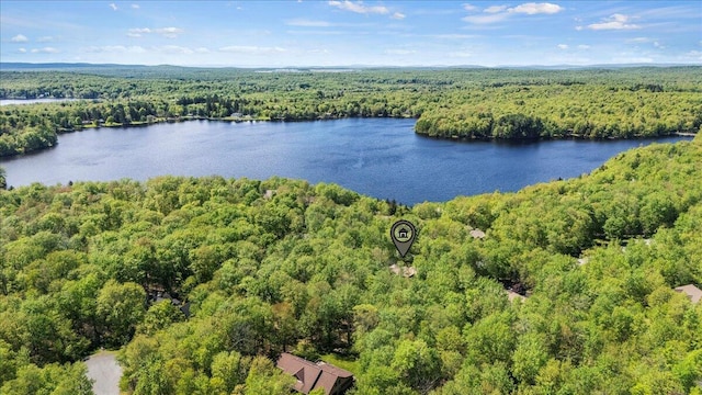 44 Watawga Way W, Gouldsboro, PA 18424 - bird's eye view of a heavily wooded area and a large body of water