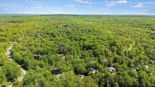 44 Watawga Way W, Gouldsboro, PA 18424 - drone / aerial view of a forest