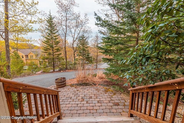 view of community with a patio area