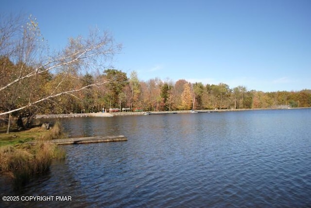 1513 Lake Ln, Pocono Lake, PA 18347 - photo 24