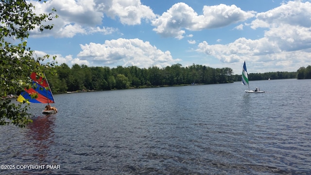 1513 Lake Ln, Pocono Lake, PA 18347 - photo 30