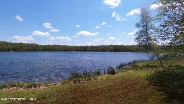 1513 Lake Ln, Pocono Lake, PA 18347 - photo 22