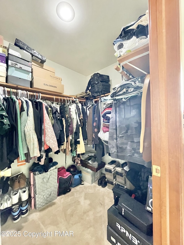 view of spacious closet