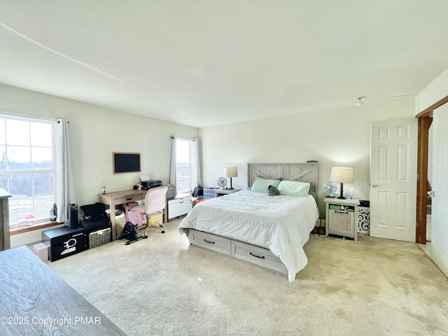 bedroom with light colored carpet