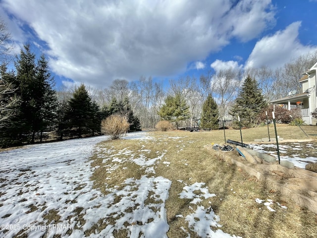 view of yard layered in snow