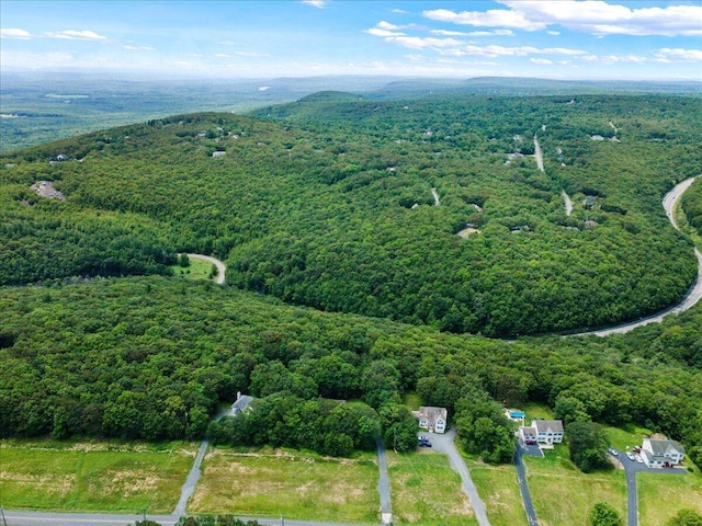 2615 Vista Dr, Blakeslee, PA 18610 - aerial view of property and surrounding area featuring a forest