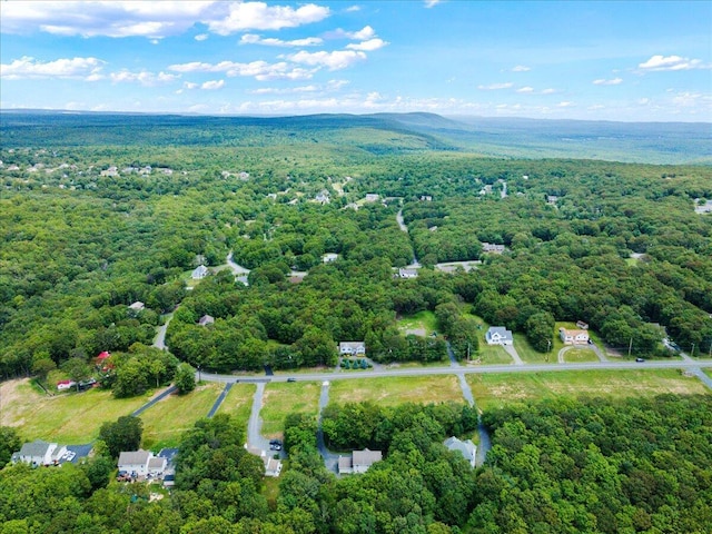 2615 Vista Dr, Blakeslee, PA 18610 - aerial view of a heavily wooded area