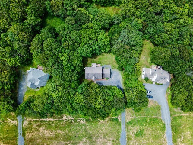 2615 Vista Dr, Blakeslee, PA 18610 - aerial view of property's location