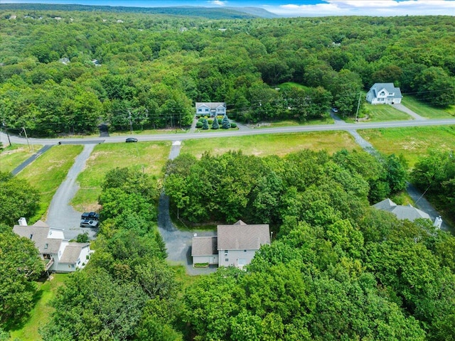 2615 Vista Dr, Blakeslee, PA 18610 - aerial view of property's location with a forest