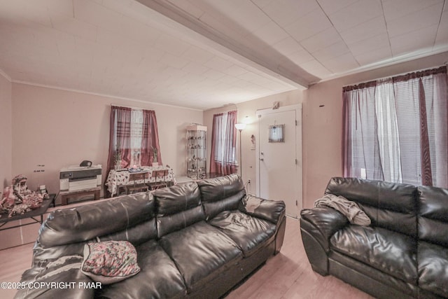 635REAR Maple St, Scranton, PA 18505 - photo 13