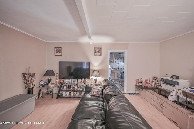 635REAR Maple St, Scranton, PA 18505 - photo 16