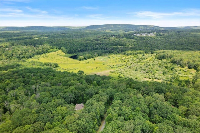 191 Cedar Ln, Canadensis, PA 18325 - photo 18