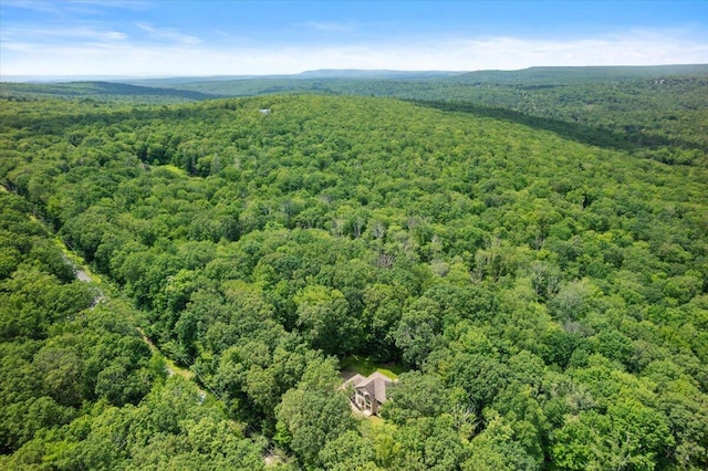 191 Cedar Ln, Canadensis, PA 18325 - photo 21