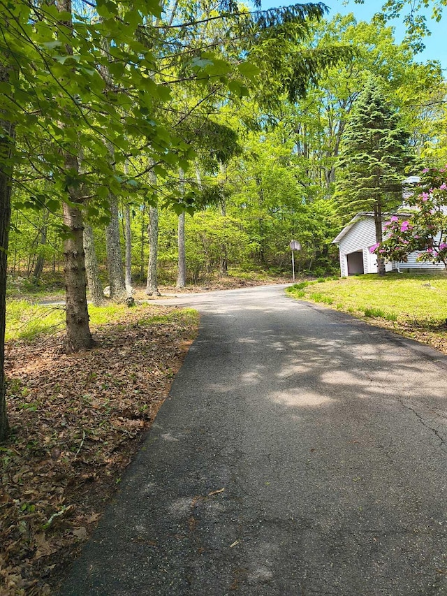 1019 Jackson View Rd, Stroudsburg, PA 18360 - view of street