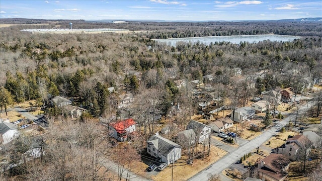 3106 Sycamore Ln, Pocono Summit, PA 18346 - photo 25