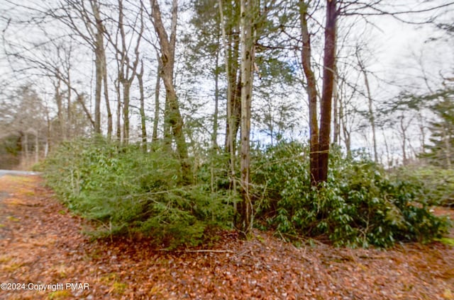 Deppners Rd, Blakeslee, PA 18610 - photo 4