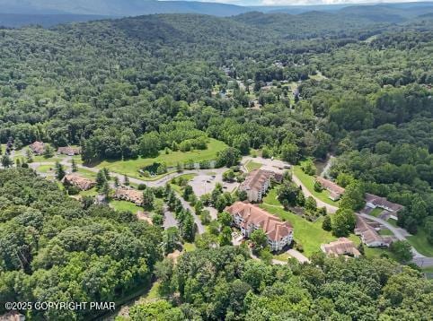 63 Village Dr, Stroudsburg, PA 18360 - photo 48